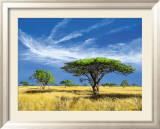 Kalahari Desert Láminas por Klaus Dietrich Kalahari Desert Láminas por Klaus Dietrich