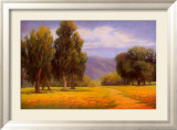 Path Through the Poppies Posters by Diana Reineke