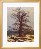 Oak in the Snow Estampe encadrée par Caspar David Friedrich