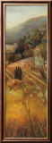 Vineyard in the Valley II Affiche par Marilyn Hageman