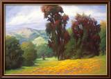 Poppies en Plein Air Posters by Diana Reineke