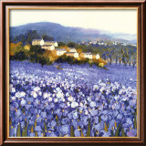 Champs D'Iris, Provence Plakater av Hazel Barker Champs D'Iris, Provence Plakater av Hazel Barker