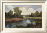 Meadowland II Prints by Tim Johnson