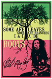 Bob Marley - De Roots Photo