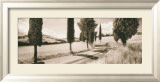 Road Through Tuscany Poster par Michael Hudson