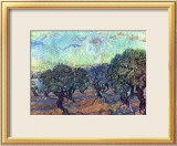 Le champ d'oliviers Affiche par Vincent van Gogh
