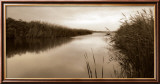 River Reeds Affiches par Christine Triebert