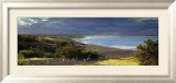 Punta Tombo, Argentina Art by Markus Renner