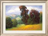 Poppies en Plein Air Prints by Diana Reineke