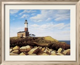 Colline deTurtle Cove Posters par Daniel Pollera