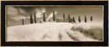 Tuscan Farmhouse Láminas por Michael Hudson