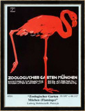 Zoologischer Garten Muchen - Zoological Garden Munich (Flamingo Lámina enmarcada de edición limitada