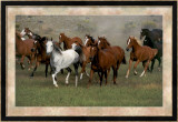 Chevaux sauvages Posters par Ron Kimball
