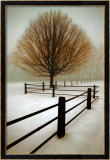 Einsamkeit Poster von David Winston