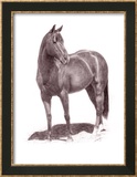 Calypso Pony Innrammet Giclee-trykk av Lorrie Beck