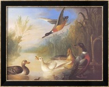 Chute d'eau dans un décor champêtre Art par Marmaduke Cradock