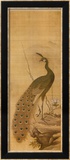 Peacock Affiches par Yanagisawa Kien
