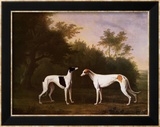 Two Greyhounds in a Landscape Plakater av John Boultbee Two Greyhounds in a Landscape Plakater av John Boultbee