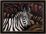 Zebras Prints by Marianne Julie Jegou