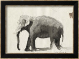 L'éléphant Affiches par Marc Lacaze