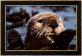 Remember Valdez Posters by Bob Talbot
