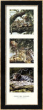 Light and Shade II Print by Spencer Hodge