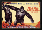 Ringling Brothers: Mr. and Mrs. Gargantua the Great Lámina giclée enmarcada