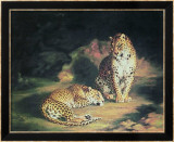 Par de leopardos Láminas por William John Huggins