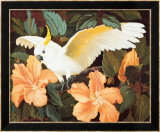 Cacatoès et hibiscus Posters par Jessie Arms Botke