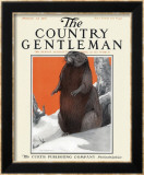 Beaver in Winter, c.1916 Lámina giclée enmarcada por Charles Livingston Bull