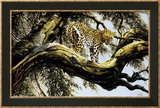 Leopard Sentry Art by Spencer Hodge