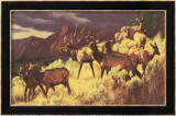 Above the Fruited Plain Plakater av Greg Beecham