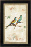 Hooded Parrot Pósters por Jillian David