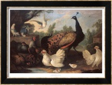 Poules dans une basse-cour Poster par Melchior d'Hondecoeter