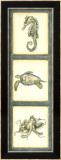 Ocean Oddities I Arte por Jennifer Goldberger Ocean Oddities I Arte por Jennifer Goldberger