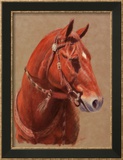 Greencoat Innrammet Giclee-trykk av Lorrie Beck