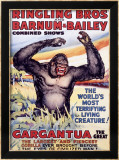 Ringling Brothers: Gargantua the Great Lámina giclée enmarcada