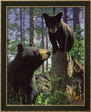 Stump Jumper Poster von Bruce Miller
