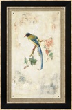 Blue Magpie Posters par Jillian David