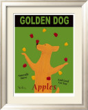 Golden Dog Limited Edition Framed Print by Ken Bailey