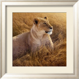 La reina de África Pósters por Daniel Smith La reina de África Pósters por Daniel Smith