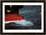 Le dauphin pilote Posters par Philip Plisson