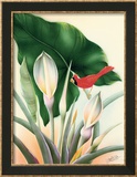 Cardinal Framed Giclee Print by Frank Oda