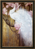 Paon et magnolia Affiches par Jessie Arms Botke