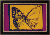 Vanishing Animals: Butterfly, c.1986 (Yellow on Purple) Kunst von Andy Warhol