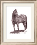 Calypso Pony Innrammet Giclee-trykk av Lorrie Beck