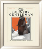 Beaver in Winter, c.1916 Lámina giclée enmarcada por Charles Livingston Bull
