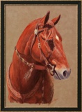 Greencoat Innrammet Giclee-trykk av Lorrie Beck