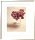 Cut Flowers IV Prints by Vincenzo Ferrato