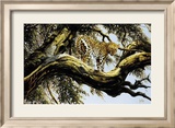 Leopard Sentry Poster by Spencer Hodge